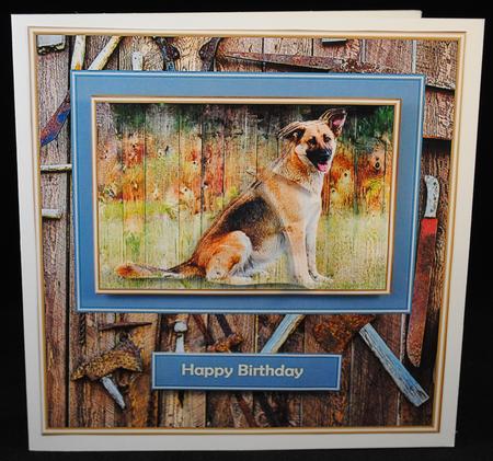 The Old Toolshed - German Sheperd by Yvonne Middleton