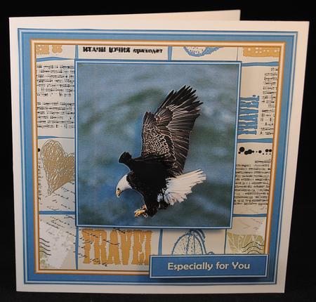 See the World - the Eagle is Landing by Yvonne Middleton