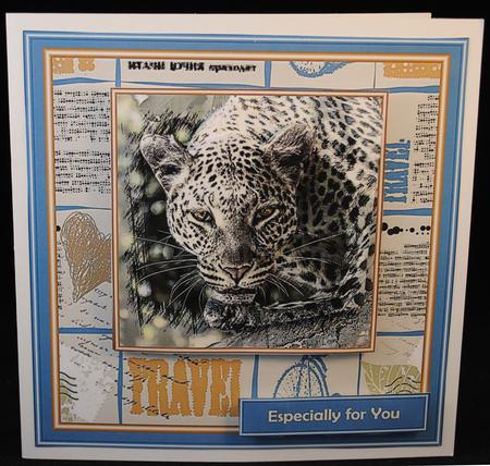 See the World - Leopard on the Prowl by Yvonne Middleton