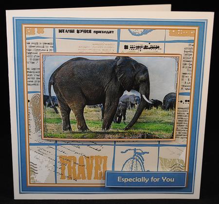 See the World - Elephants by Yvonne Middleton