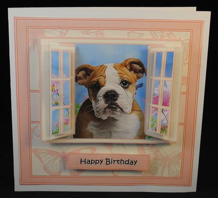 Bulldog Puppy in the Window by Yvonne Middleton
