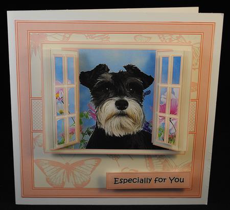 Schnauzer in the Window by Yvonne Middleton