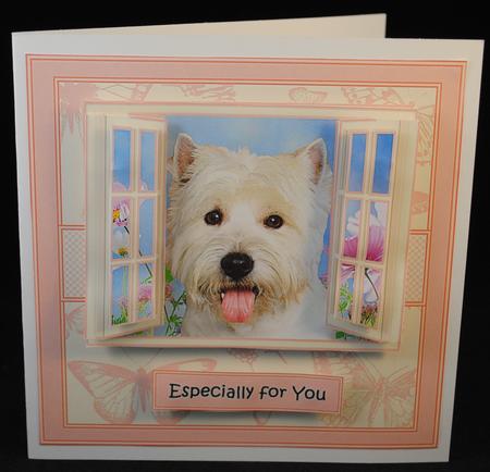 Westie in the Window. by Yvonne Middleton