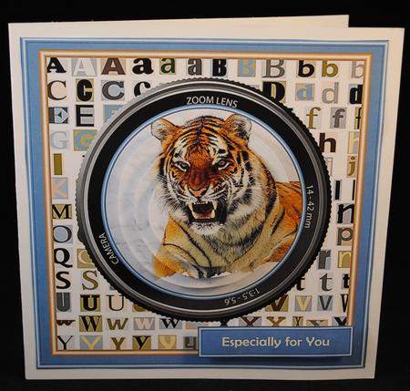 Through the Lens - Siberian Tiger by Yvonne Middleton