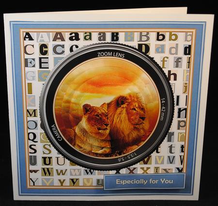 Through the Lens - Lion and Lioness by Yvonne Middleton