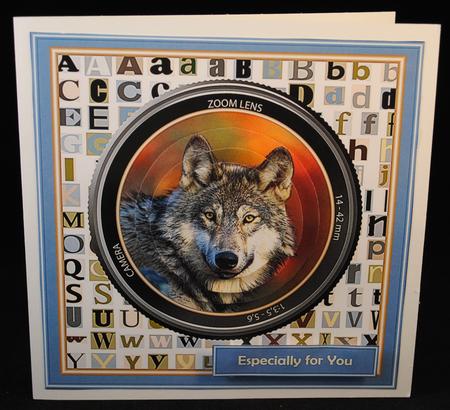 Through the Lens - Wolf by Yvonne Middleton