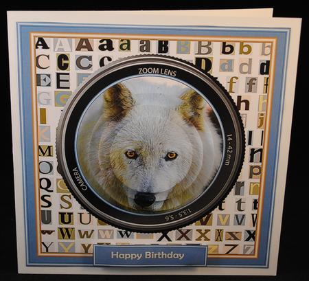 Through the Lens - White Wolf by Yvonne Middleton