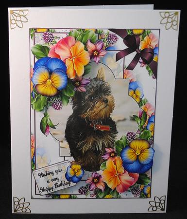 The Little Terrier by Yvonne Middleton