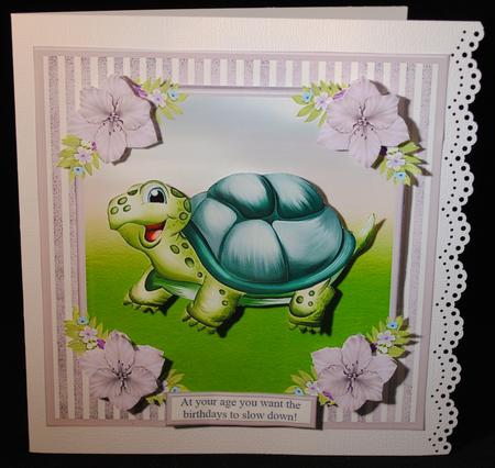 At Your Age You Want the Birthdays to Slow Down! - Tortoise by Yvonne Middleton