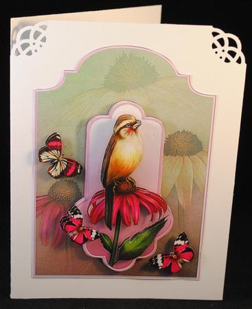 Courtly Coneflower Shaped Card Front with Step by Step by Yvonne Middleton