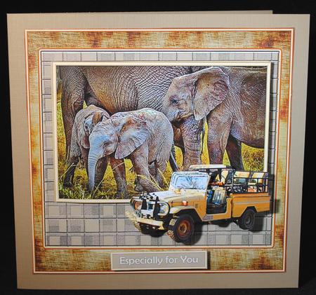 Safari Elephants by Yvonne Middleton