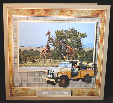 Safari Giraffes by Yvonne Middleton