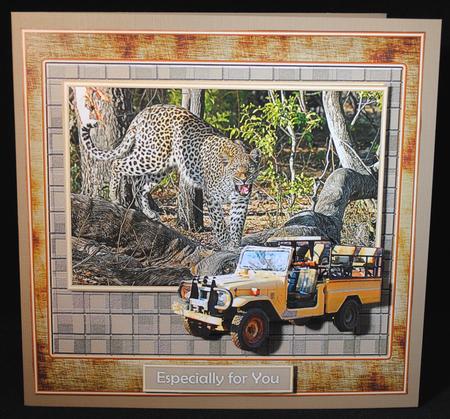 Safari Leopard by Yvonne Middleton
