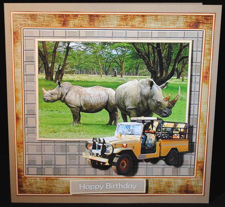 Safari Rhinos by Yvonne Middleton