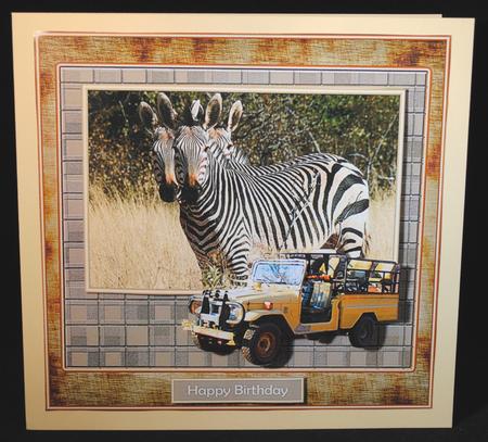 Safari Zebras by Yvonne Middleton