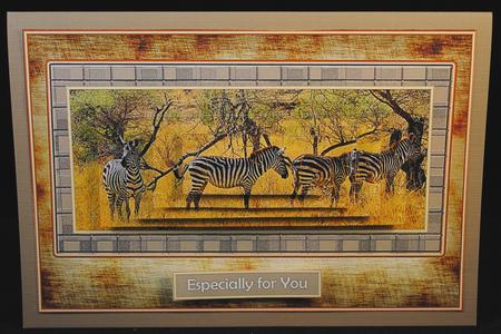 Africa at Its Best - Zebras with Bookmark by Yvonne Middleton