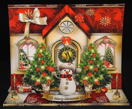 Festive Christmas House with Cute Snowman by Yvonne Middleton