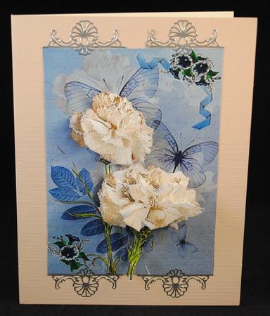 White Carnations by Yvonne Middleton