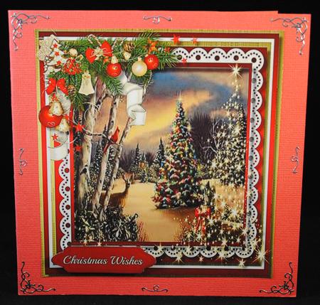 Beautiful Christmas Scene  by Yvonne Middleton