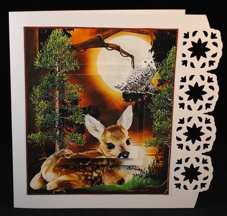Scenic Woodland Fawn with Pyramid Layers by Yvonne Middleton