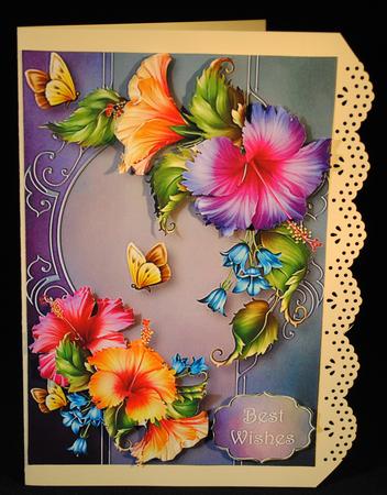 Fabulous Florals & Butterflies by Yvonne Middleton