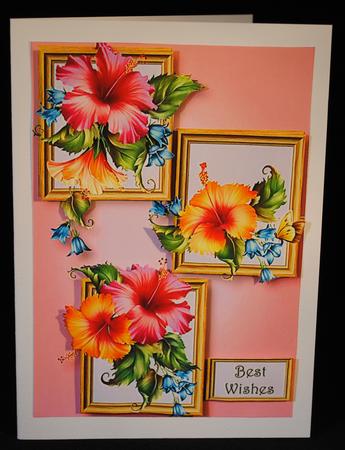 Pink & Peach Hibiscus Frame Trio by Yvonne Middleton