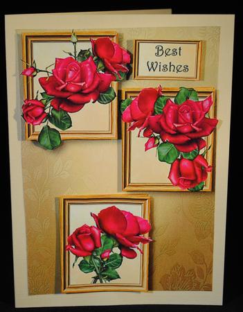 Celebration Roses Frame Trio by Yvonne Middleton