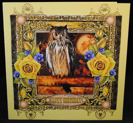 Owl by Yvonne Middleton