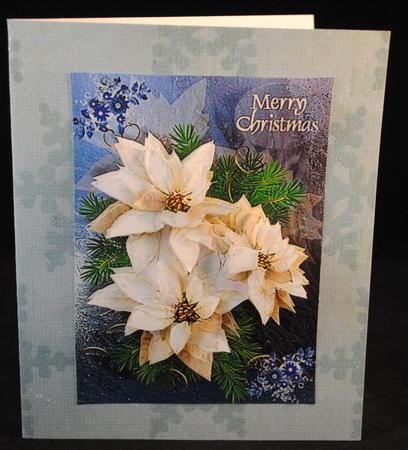 White Poinsettia by Yvonne Middleton