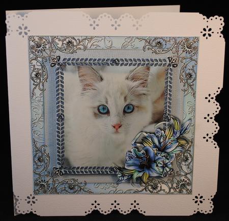 Little Luna by Yvonne Middleton