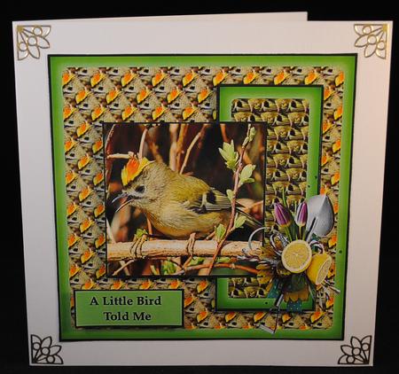 Birds of a Feather 2 by Yvonne Middleton