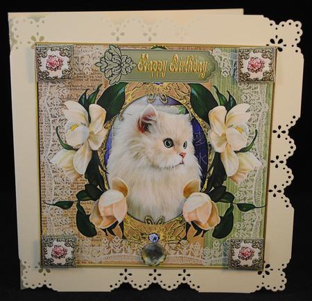 Congrats New Cat by Yvonne Middleton