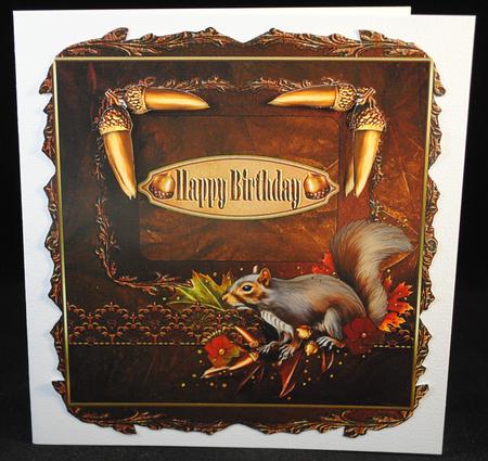 Beautiful Squirrel by Yvonne Middleton