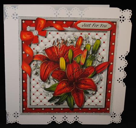 Beautiful Red Cullies on Lace  by Yvonne Middleton