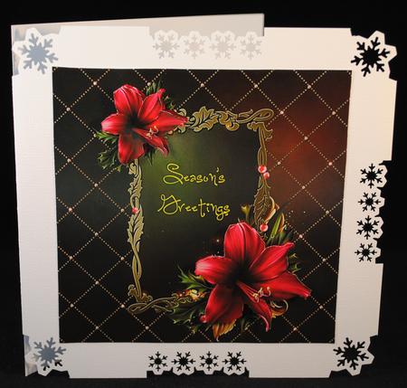 8 x 8 Red Amaryllis Christmas Card Front by Yvonne Middleton