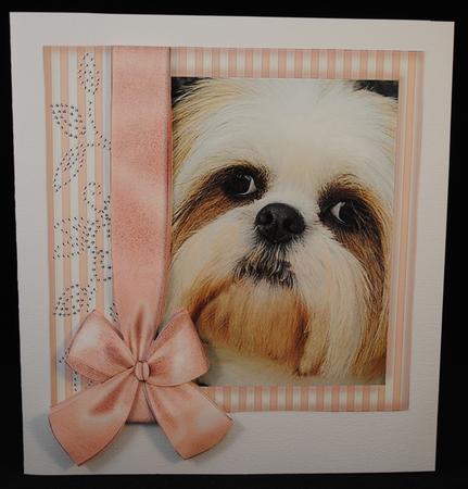 Pup in Pink Frame 8x8 by Yvonne Middleton