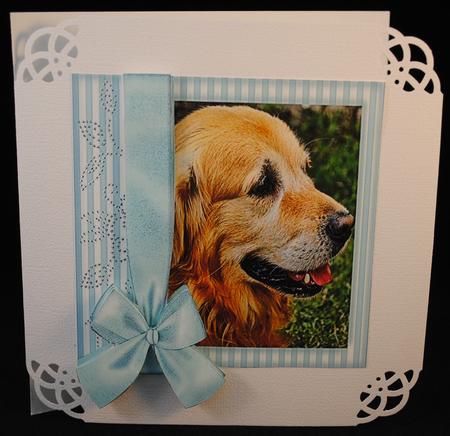 Dog in Turquoise Frame with Bow 8x8 by Yvonne Middleton