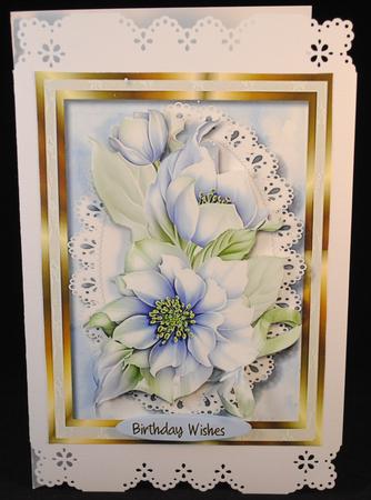 Lovely Green and Lilac Hellebore  by Yvonne Middleton