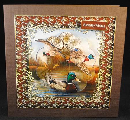 Swimming and Flying Mallards 7x7 Card by Yvonne Middleton