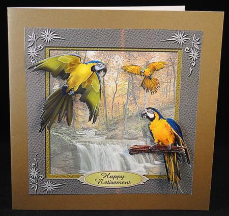 Colourful Birds Series - Quick Card 4 by Yvonne Middleton