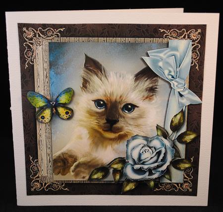 Those Eyes -  2 by Yvonne Middleton