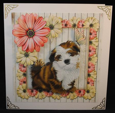 Pretty Lhapso Puppy in Floral Frame with Butterfly by Yvonne Middleton