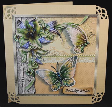 Lovely Butterfly's and Lillie's ,3 by Yvonne Middleton