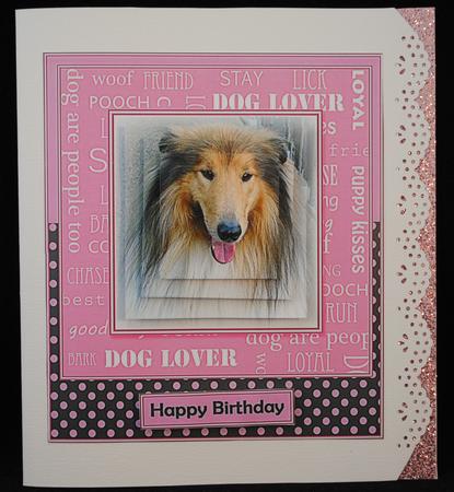 Collie - Dog Lover by Yvonne Middleton