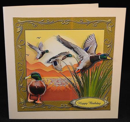 Ducks in Flight 3D Quick Card by Yvonne Middleton