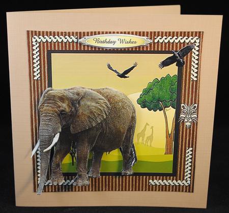 Wild Animals 4 Quick Card Topper by Yvonne Middleton