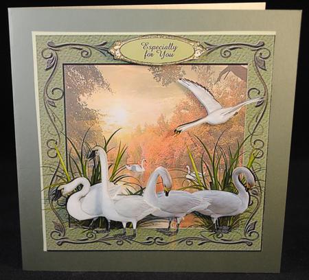 Swans on Lake 3D Quick Card by Yvonne Middleton