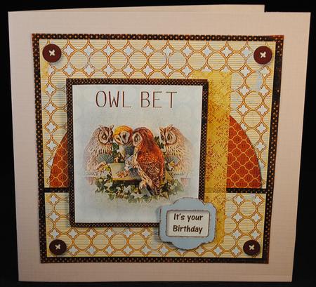 Owl Bet Male Masculine Manly All Occasion by Yvonne Middleton