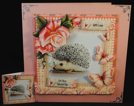 The Hedgehog Card Front Kit by Yvonne Middleton