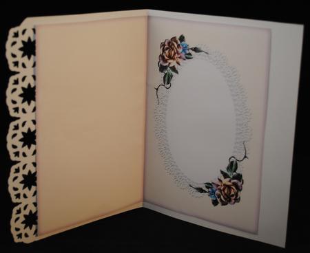 Insert Lace & Roses Pink by Yvonne Middleton
